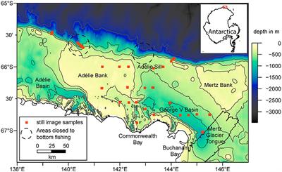 Taxonomic Resolution, Functional Traits, and the Influence of Species Groupings on Mapping Antarctic Seafloor Biodiversity